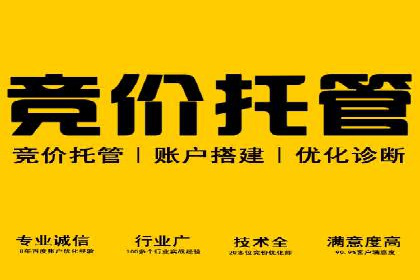 竞价SEM案例解析：电商行业营销策略